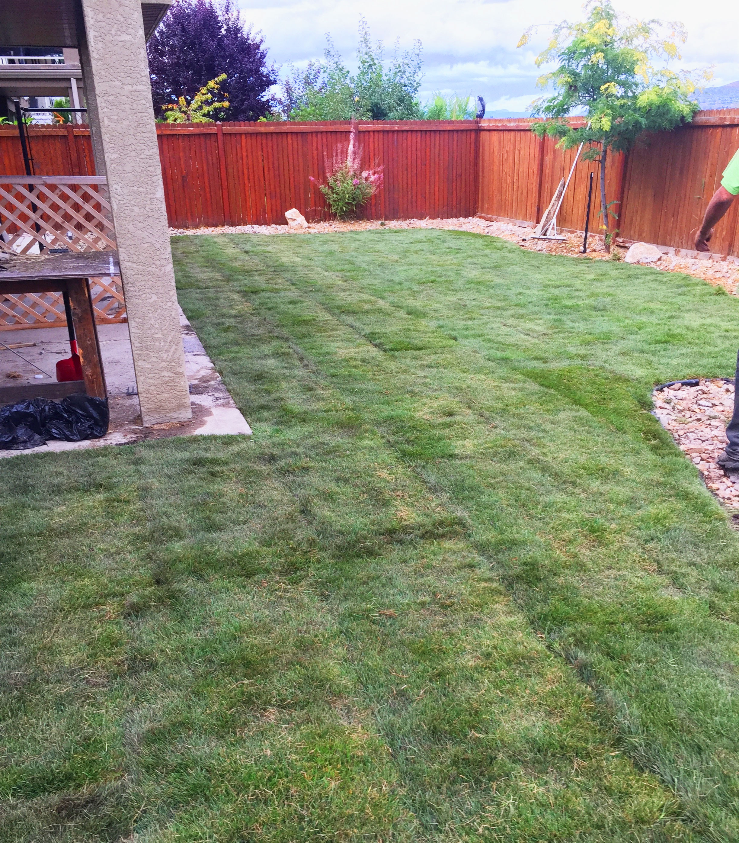 after photos of a Sod installation