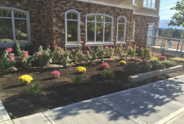 commercial landscaping design in front of a condo building