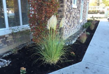 small flower bed in the front of a commercial building