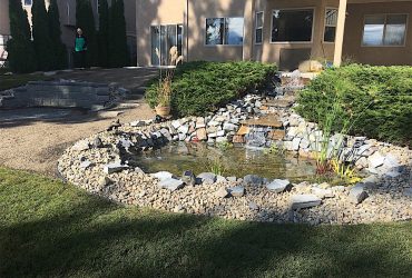 Backyard pond with shrubs and a waterfall