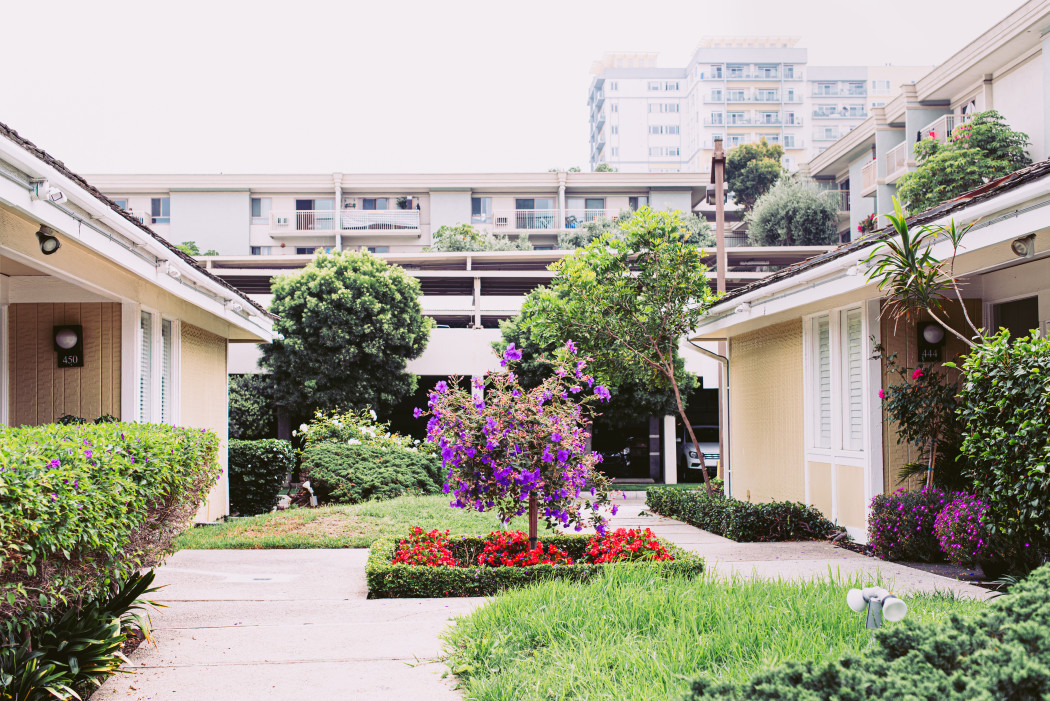 Landscaped courtyard with flowers, shrubs and lawn