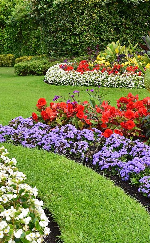A lawn with flower beds.